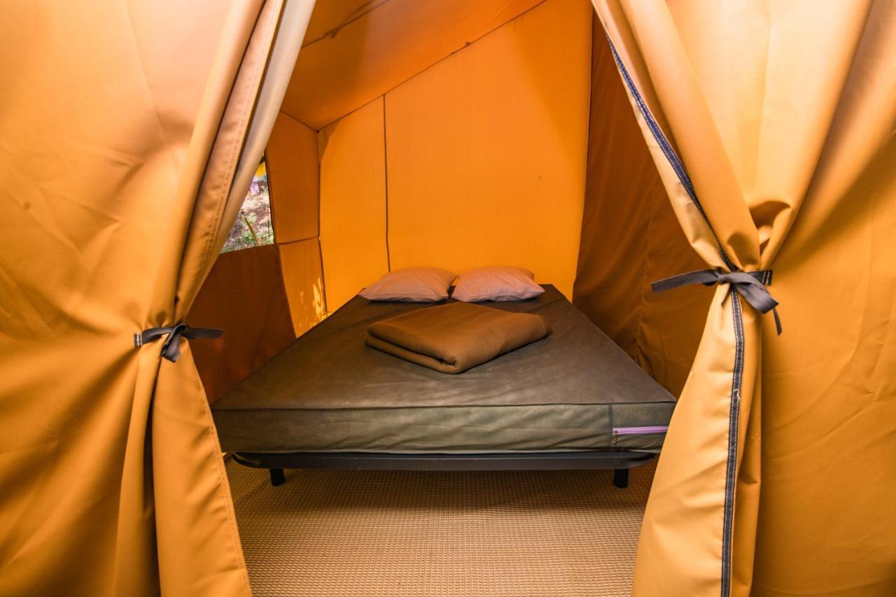 Camping Onlycamp Des Halles 德西兹 外观 照片